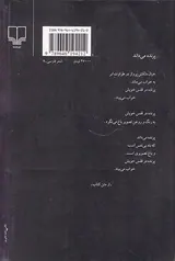 آینه در آینه رقعی شومیز